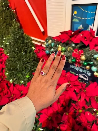 A festive red moment